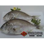 【石楼特产】 渔珍海立鱼 700g