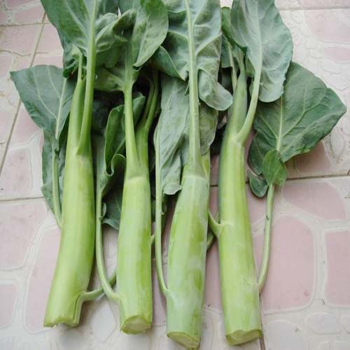 大芥兰600g一份(时价)_叶菜_新鲜蔬菜_粮油,肉菜,禽蛋