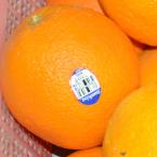 新奇士橙 约1000g（时价）