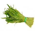 青通菜 约500g（时价）