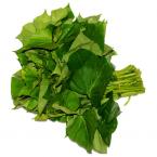 番薯叶 约500g（时价）