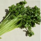 香芹 约250g（时价）