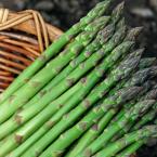 芦笋（400g一份）（时价）