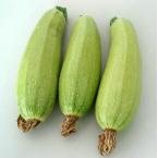 云南小瓜 2条约600g（时价）