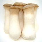 杏鲍菇 约400g（时价）