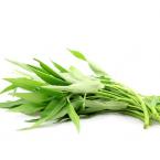 青通菜 约500g（时价）