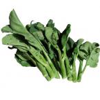 小芥兰 约500g（时价）