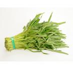 青通菜 约500g（时价）