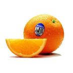 新奇士橙 约1000g（时价）