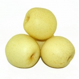 皇冠梨 约1000g（时价）