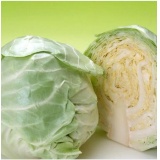 【华伟特供】京椰菜 30kg