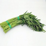 青通菜 约500g（时价）