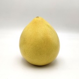 五华三红蜜柚 约2kg/个