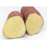 栗子番薯 约1500g（时价）