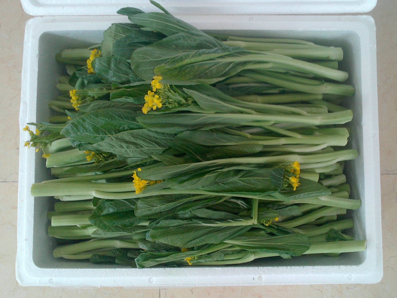 连州特产清甜无渣连州菜心1000g