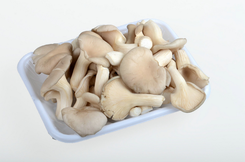 秀珍菇约300g时价